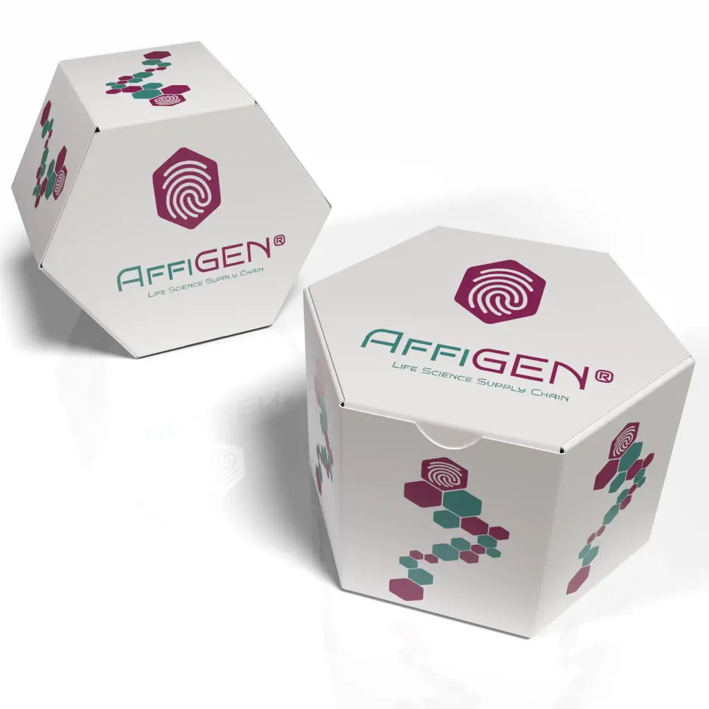 AffiGEN® AH109 Saccharomyces cerevisiae (Yeast) Strain 